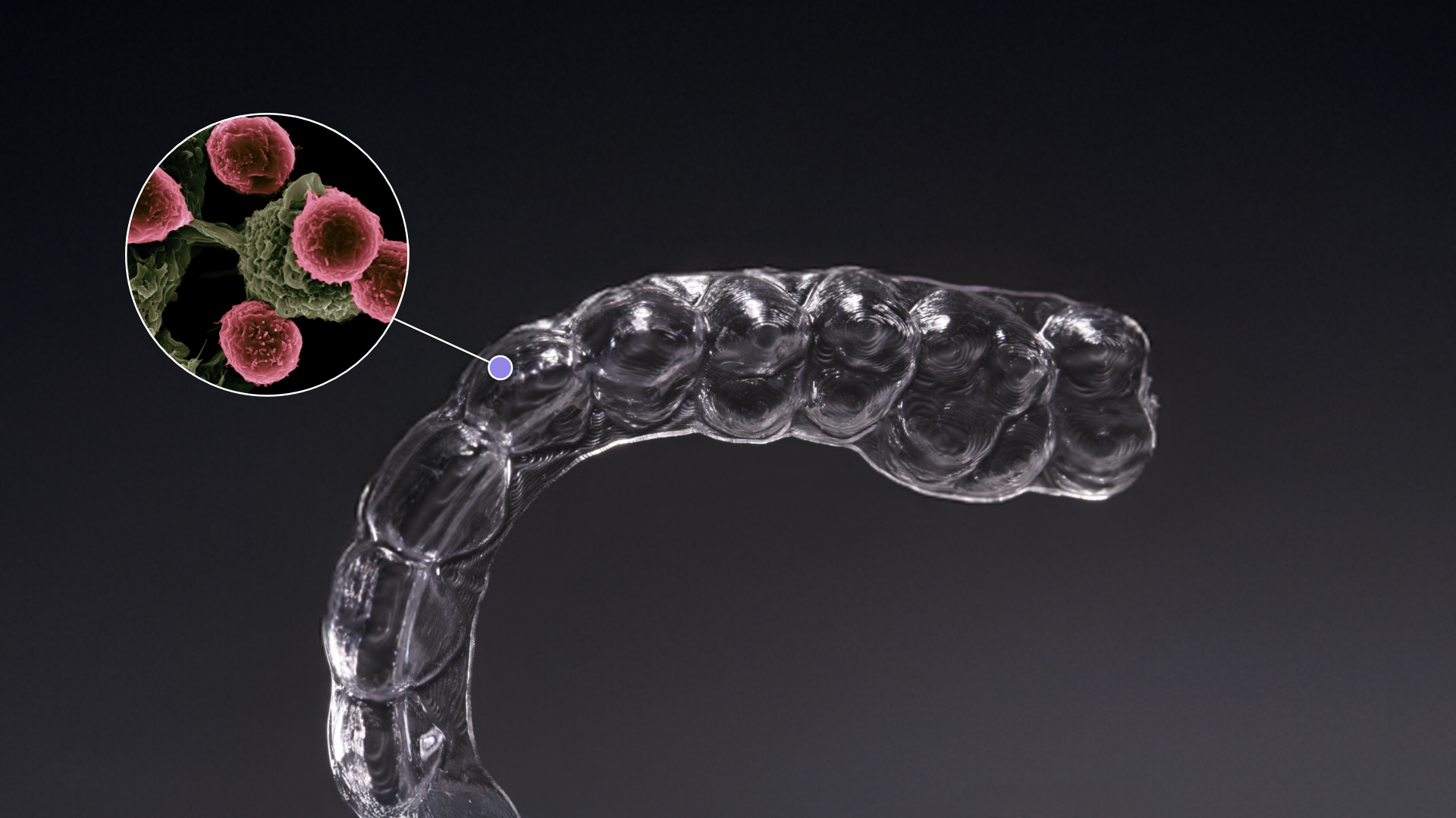 The Hidden Fungus on your Retainer: Understanding Candida Albicans