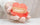 hand holding dentures
