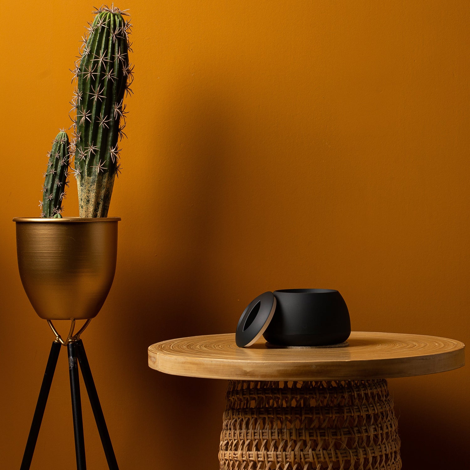 Dental pod Ultrasonic Cleaning Dos and Don'ts (2024) ZIMA DENTAL US