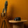 Dental pod: Ultrasonic Cleaning Dos and Don'ts (2025)