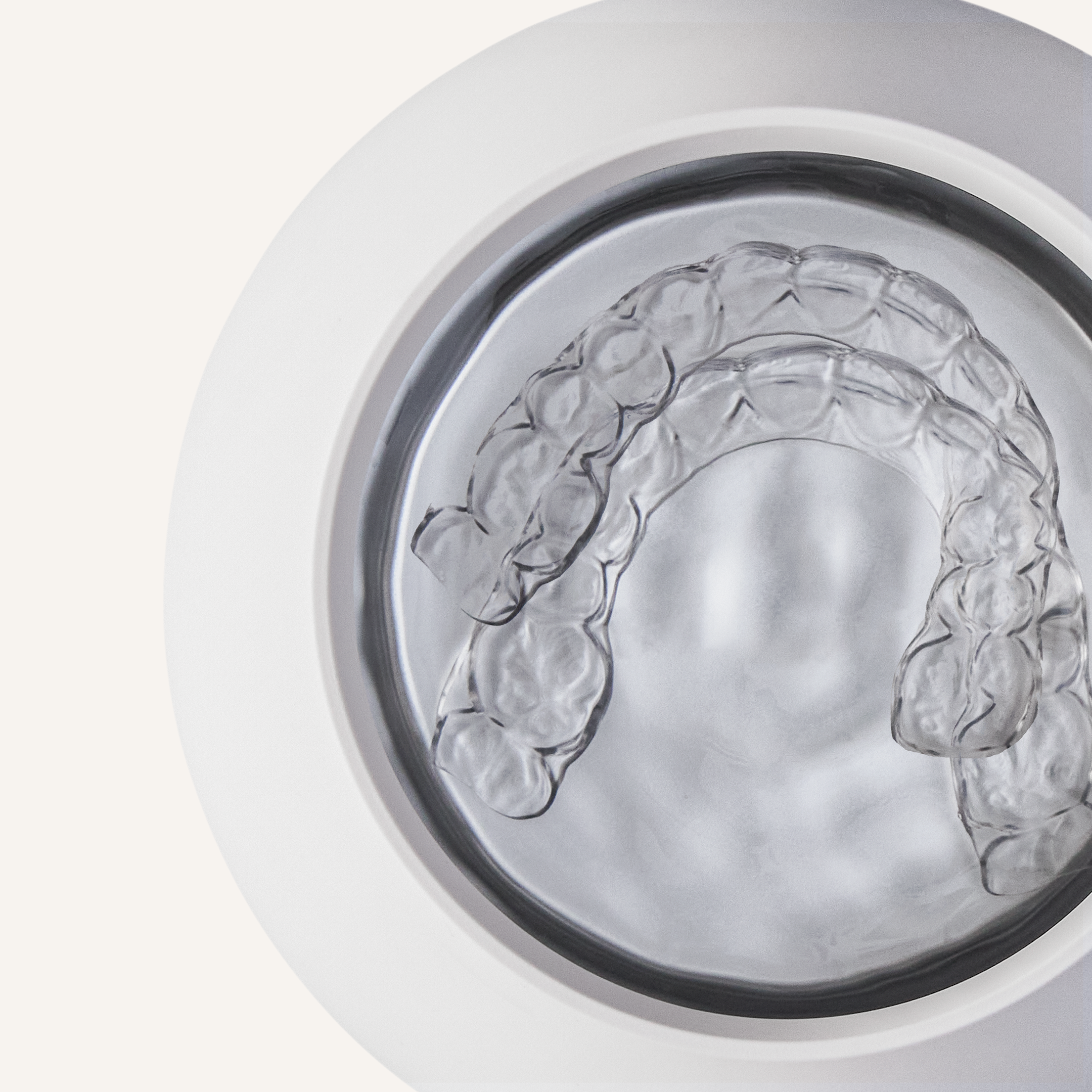 variant:arctic-white